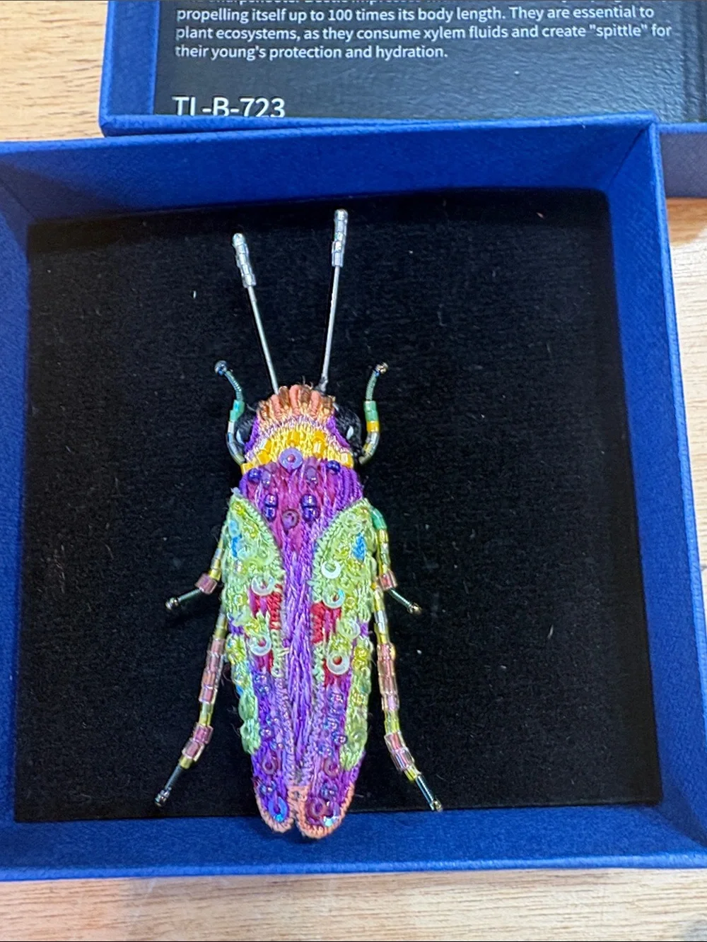 Trovelore Multicolor Sharpshooter Beetle Embellished Brooch Pin